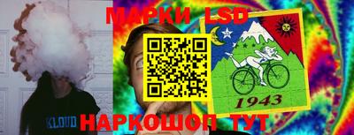 СК Моздок