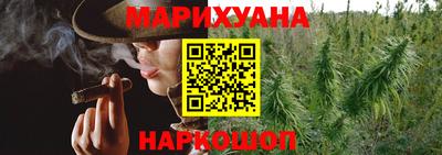 прущие крисы Можга